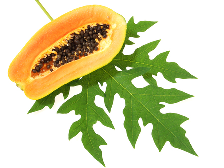 Papaya and papaya leaf isolated on white backgroundの写真素材