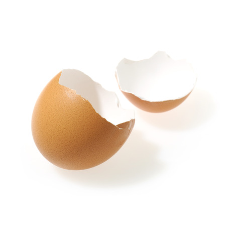 fresh egg isolated on white background