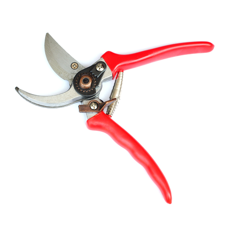 Pruning Shears isolated on white backgroundの写真素材