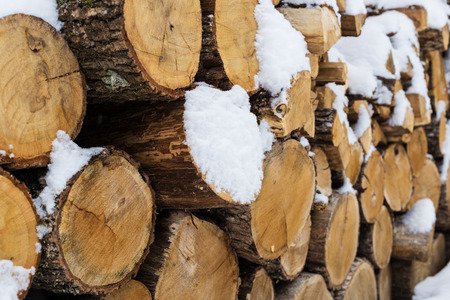 Stacks of Firewood. Preparation of firewood for the winter. Pile of Firewood.Firewood...