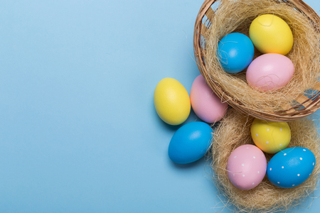 Colorfull easter eggs in nest on blue pastel color background with space.の写真素材