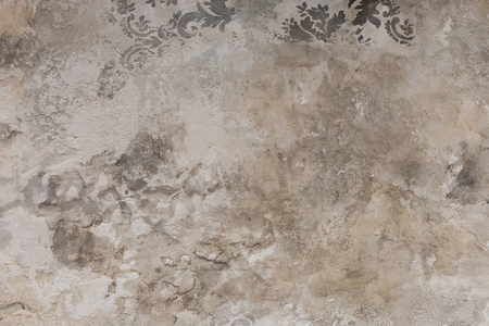 Cement wall background. Texture for your design.の写真素材