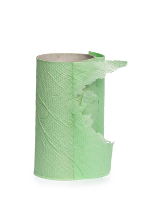 Empty toilet paper roll on white backgroundの写真素材