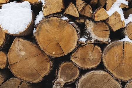Stacks of Firewood. Preparation of firewood for the winter. Pile of Firewood.Firewood background.Preparation of firewood for the winter.の写真素材