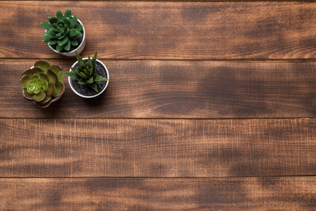 succulents banner or header with different plants on wooden background. top view, copyspace for your textの写真素材
