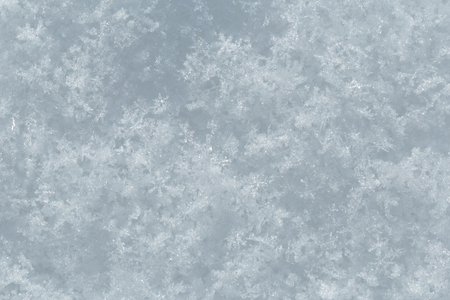 Winter snow. Snow texture Top view of the snow. Texture for design. Snowy white texture. Snowflakes.の写真素材