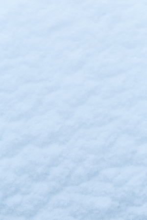 Winter snow. Snow texture Top view of the snow. Texture for design. Snowy white texture. Snowflakes.の写真素材