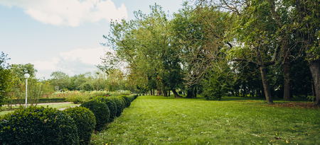 Beautiful view of green city park with flower bedsの写真素材