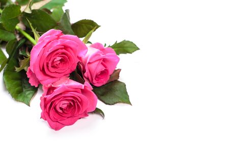 Pink rose bouquet isolated on white backgroundの写真素材