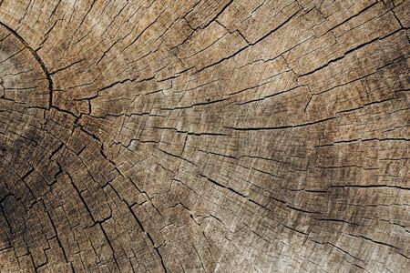 wood brown grain texture, dark wall background, top view of wooden tableの写真素材