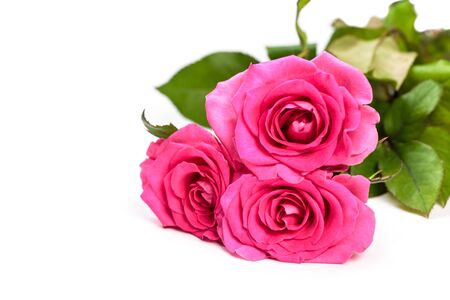 Pink rose bouquet isolated on white backgroundの写真素材