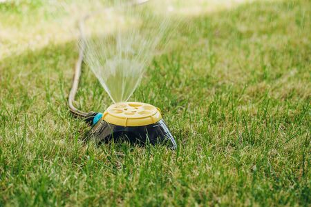 Close up of modern fresh lawn with garden sprinkler