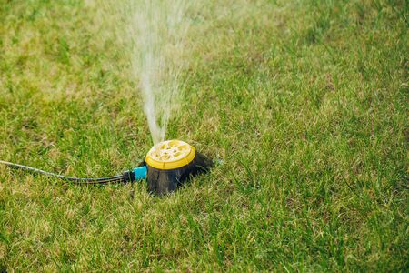Close up of modern fresh lawn with garden sprinklerの写真素材