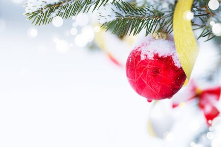 Christmas tree in snow background. New Year composition with fir tree, balls and lights and bokeh.
Christmas and New Year festive background.の写真素材