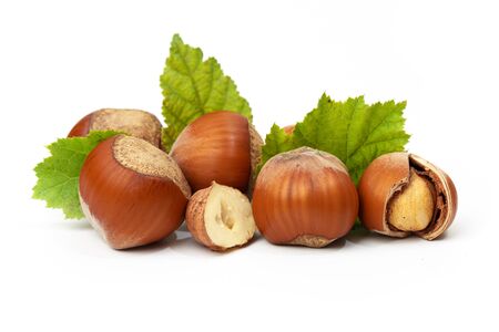 Hazelnuts with leaves isolated on a white backgroundの写真素材