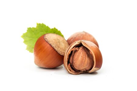 Hazelnuts with leaves isolated on a white backgroundの写真素材
