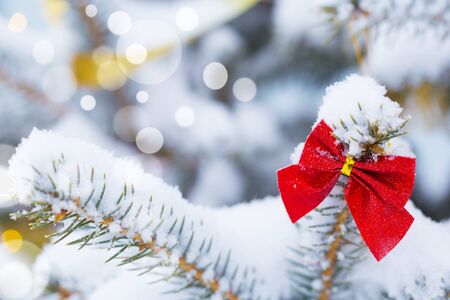 Christmas tree in snow background. New Year composition with fir tree, balls and lights and bokeh.
Christmas and New Year festive background.の写真素材