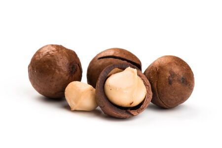 Shelled and unshelled macadamia nuts on white backgroundの写真素材