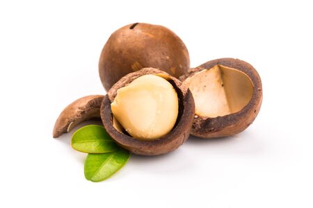 Inshell macadamia nuts with leaves isolated on white background.の写真素材