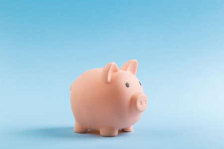 beautiful pink piggy bank on blue backgroundの写真素材