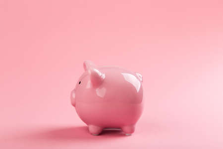 beautiful pink piggy bank on rose background. The concept of saving money or savings, investment