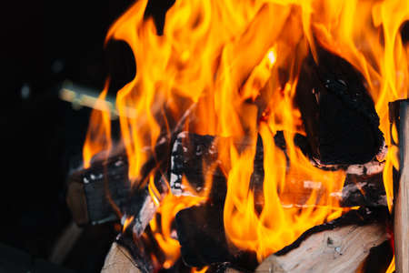 burning firewood in a barbecue or barbecue. photo of a fire with flames in the street
