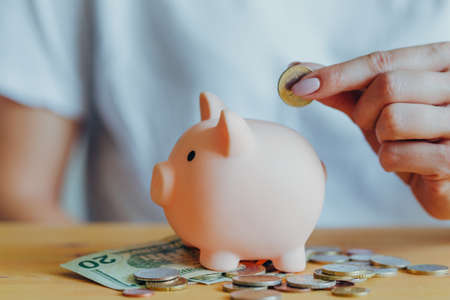 female hands put a coin in a pink piggy bank. Concept of saving money or savings, investment during the global crisisの写真素材