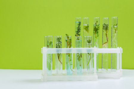 Test tubes and other laboratory glassware with different plants on green background