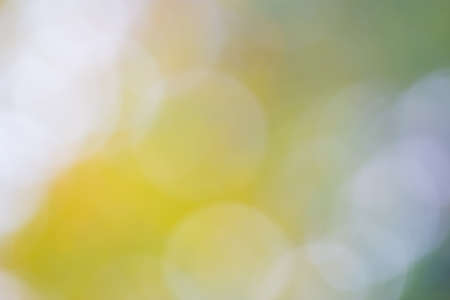 Abstract blurred nature background with bokeh for creative designs. Green leaves bokeh out of focus background from nature forest.の写真素材