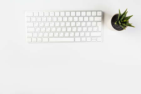 Aluminum keyboard of a modern computer with green plant close up. isolated on white background.