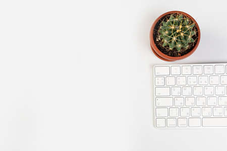 Aluminum keyboard of a modern computer with green plant close up. isolated on white background.の写真素材