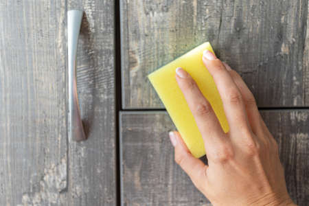 Cleaning sponge in woman's hands. cleaning service. order in the house