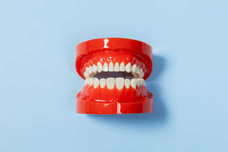Clean denture, jaw model, dentist tool on blue background