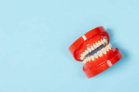 Clean denture, jaw model, dentist tool on blue backgroundの写真素材