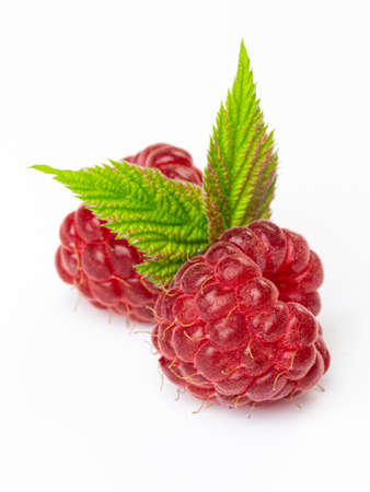Fresh ripe raw red raspberries with green leaves in group closed up isolated on whiteの写真素材