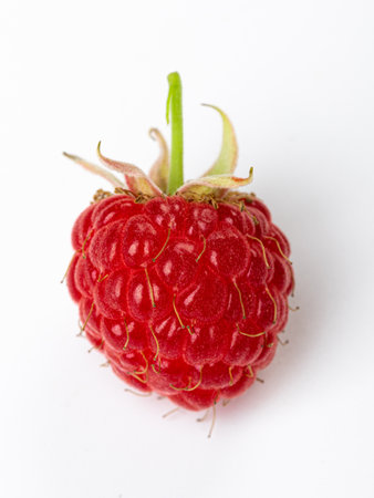 one berry Ripe raspberry with leaves isolated on white backgroundの写真素材