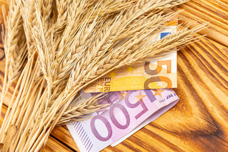 Ears of wheat and euro paper money on a wooden background. wheat crisis and record high prices for bakery products. Rise in wheat prices in Europeの写真素材