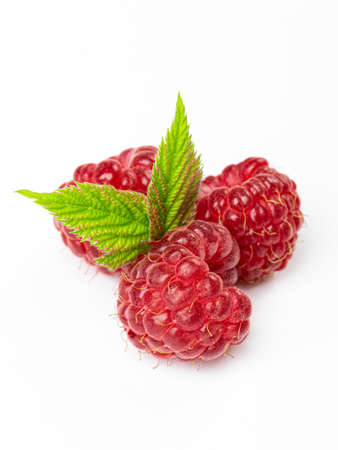 Fresh ripe raw red raspberries with green leaves in group closed up isolated on whiteの写真素材