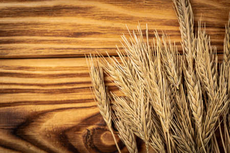 Wheat Ears on the Wooden Table. Sheaf of Wheat over Wood Background. harvest conceptの写真素材