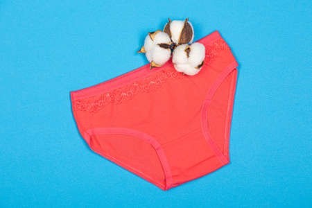 Clothes for children in the form of panties on a blue background. Clothes for children from soft fabric. Panties for girls and cotton flower top view flat lay with copy space for text.の写真素材