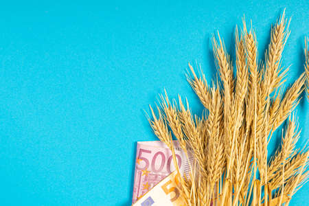 Paper money currency of wheat and euro banknotes on a blue background. The theme of the shortage of grain wheat groats. macro close-upの写真素材