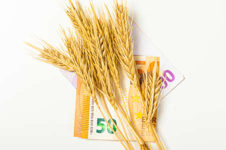 Top view Euro cash, flour and wheat crisis. Record prices and high prices for bakery products. Rising wheat prices in Europe. Ripe ear of wheatの写真素材