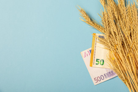 Paper money currency of wheat and euro banknotes on a blue background. The theme of the shortage of grain wheat groats. macro close-upの写真素材