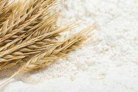 Close-up of a heap of flour and ears of wheat after sifting. Concept Record prices and high prices for bakery products. Rising wheat prices in Europe.の写真素材