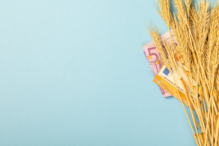 Paper money currency of wheat and euro banknotes on a blue background. The theme of the shortage of grain wheat groats. macro close-upの写真素材