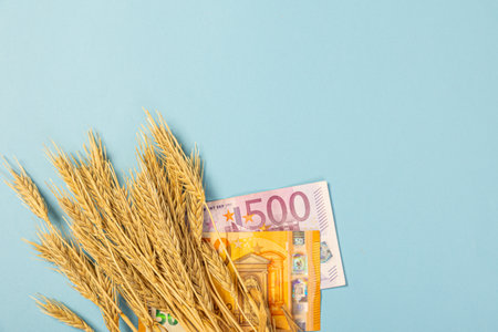 Paper money currency of wheat and euro banknotes on a blue background. The theme of the shortage of grain wheat groats. macro close-upの写真素材