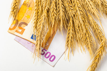 Top view Euro cash, flour and wheat crisis. Record prices and high prices for bakery products. Rising wheat prices in Europe. Ripe ear of wheatの写真素材