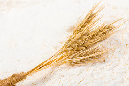 Close-up of a heap of flour and ears of wheat after sifting. Concept Record prices and high prices for bakery products. Rising wheat prices in Europe.の写真素材