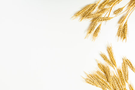 Seeds of ripe wheat on a white background. A whole crop of wheat germ. spikelet of wheat for flour from grain bread. View from aboveの写真素材
