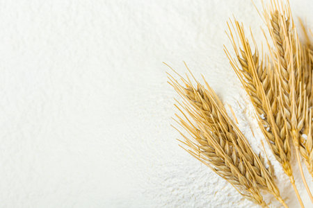 Close-up of a heap of flour and ears of wheat after sifting. Concept Record prices and high prices for bakery products. Rising wheat prices in Europe.の写真素材